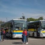 bus