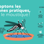 moustique tigre.
